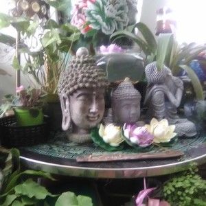 Meet your Posher, Rita